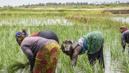 Valorisation des réservoirs hydro-agricoles naturels au bénin: le gouvernement instruit la réalisation de plusieurs études 