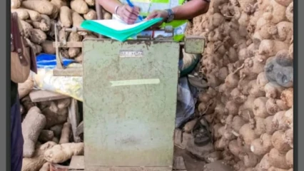Vente d’igname à cotonou: des bascules non certifiées saisies au marché Mahulé 