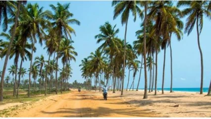 APRÈS TROIS ANS DE REFORMES SOUS TALON : Que retenir au plan environnemental dans le Borgou-Alibori ?