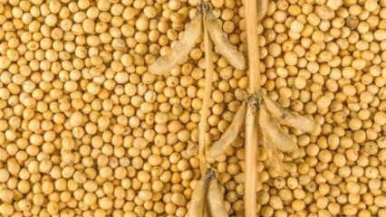 LUTTE CONTRE LA SORTIE FRAUDULEUSE DU SOJA : Un militaire tué à Cobly