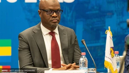 PERTURBATIONS OBSERVÉES DANS LA FOURNITURE DE L’ÉLECTRICITÉ AU BENIN : Le ministre Samou Séidou Adambi explique et rassure