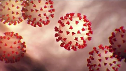 COVID-19 :  Le Sénégal et le Madagascar méprisent l&rsquo;Oms