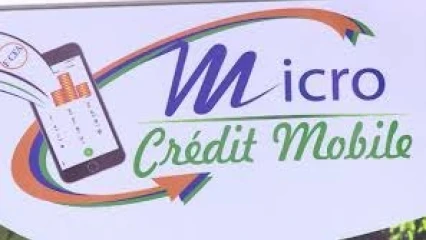 EDITO : Quel microcrédit?