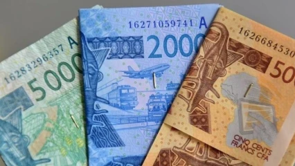 NOUVELLE MONNAIE ECO : La France approuve la fin du Fcfa