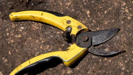 BENIN/FAITS DIVERS : Elle tente d’arracher le gland de son époux  . Voici la raison