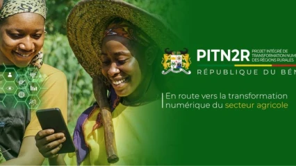 POUR LE COMPTE DU PITN2R :  La société Bok Sarl recrute des Agents d&rsquo;Appui dans 34 communes .  Lire les détails ici👇🏽