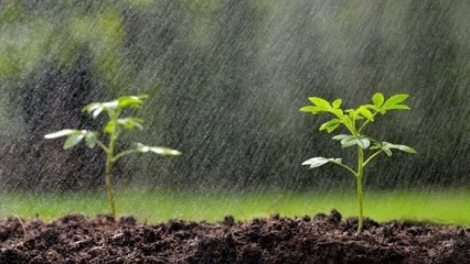Arrêt inattendu des pluies à Cotonou, Calavi et environs: pratiques endogènes ou technologiques liées aux chantiers en cours ?