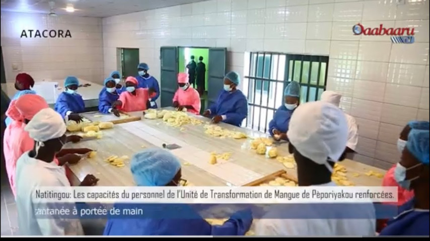 NATITINGOU: Les capacités du personnel de l’Unité de Transformation de Mangue de renforcées