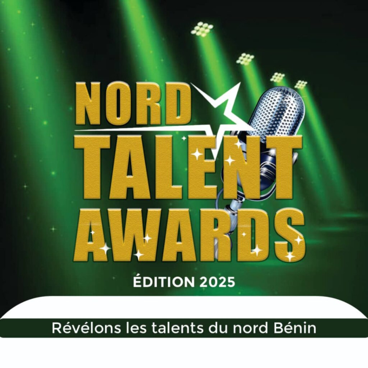 Bénin/Nord Talent Awards: les inscriptions sont déjà ouvertes 