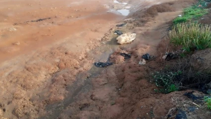 DEGRADATION DES RUES AU QUARTIER ALBARIKA DE PARAKOU : Les populations sur le « chemin de Golgotha »