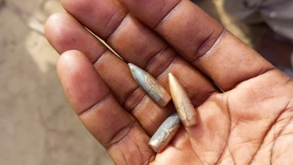 BÉNIN/À KARIMAMA : L’armée déjoue une attaque terroriste . Des balles perdues tuent un bœuf