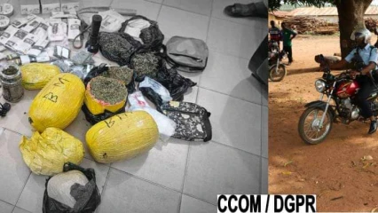 COMMERCIALISATION DE PRODUITS PSYCHOTROPES :  Six personnes arrêtées à Cotonou 