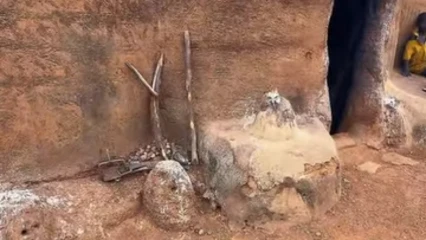 Boukombé/À otamari lodge de Koussoukoingou: ces divinités qui veillent devant chaque Tata