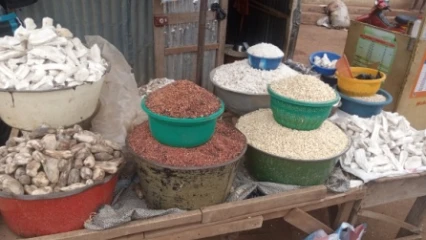 MALGRÉ LES MESURES DU GOUVERNEMENT CONTRE LA CHERTÉ DE LA VIE AU BÉNIN : Les produits coûtent toujours très cher dans les marchés  • Les populations essoufflées