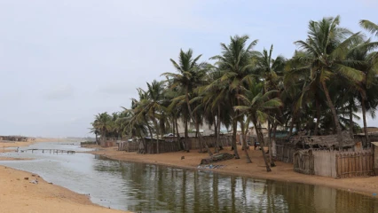 BENIN/REBOISEMENT DU SEGMENT DE LA PLAGE : Les occupants du long de la bande côtière invités à libérer l’espace