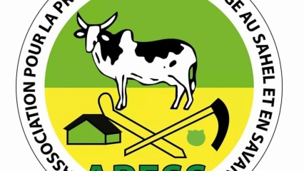 BÉNIN :  L&rsquo;Apess recrute un consultant individuel