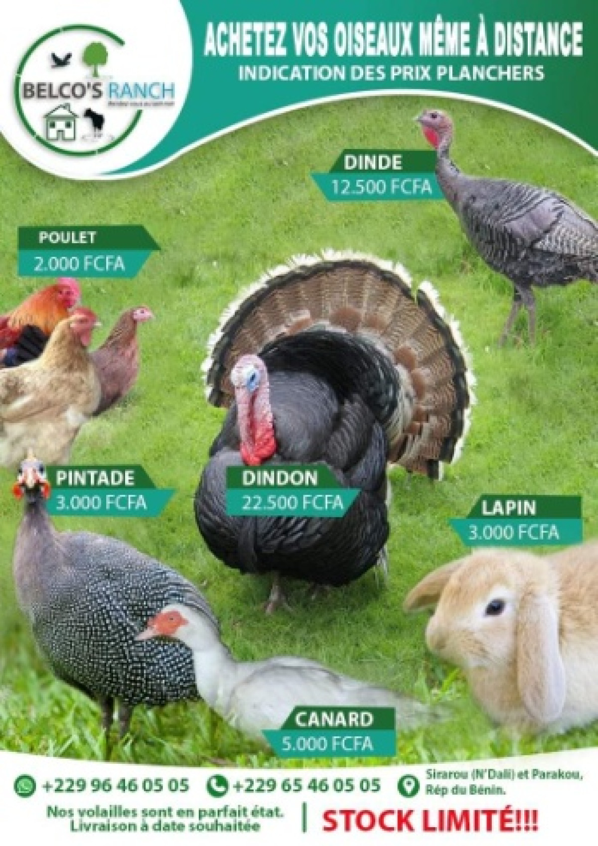 POUR MANGER SAIN PENDANT LES FÊTES DE FIN D&rsquo;ANNÉE, Optez pour les produits de la ferme Belco&rsquo;s Ranch