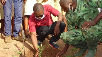 JOURNÉE NATIONALE DE L&rsquo;ARBRE À BEMBEREKE : 120 plants mis en terre