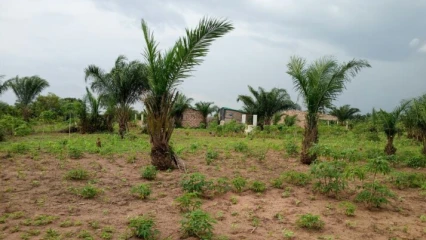 DÉLIVRANCE DE L&rsquo;ATTESTATION DE RECASEMENT AU BÉNIN : Le gouvernement fixe de nouvelles conditions et procédure