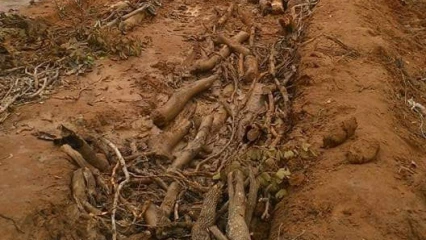 BITUMAGE DES ROUTES NIKKI-KALALÉ-SÉGBANA, KOTA-KOUANDÉ ET N&rsquo;DALI-NIKKI-TCHIKANDOU : Le gouvernement donne un coup d&rsquo;accélérateur au projet 