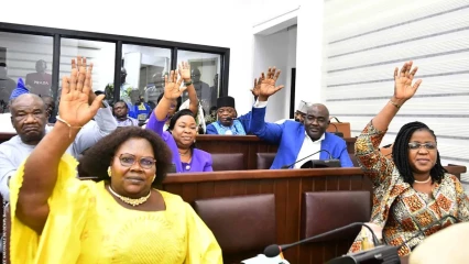 Projet de révision de la constitution: les députés en plénière ce jour