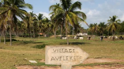 TOURISME AU BÉNIN : Un recrutement de 16 profils lancé