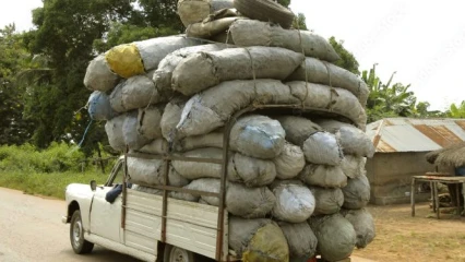 Transport du charbon de bois et du bois de feu au bénin: les moyens et quantités autorisés fixés 
