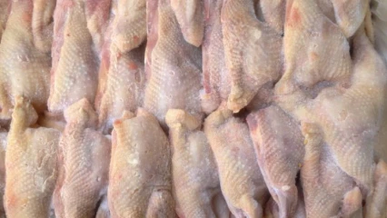 DÉVELOPPEMENT DU SECTEUR AGROALIMENTAIRE AU BÉNIN : L&rsquo;importation d&rsquo;œufs et de poulets congelés bientôt interdite
