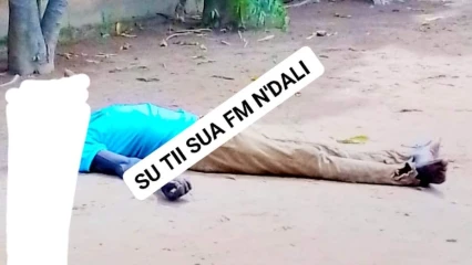 N&rsquo;DALI   :   Un homme meurt électrocuté sur un arbre 