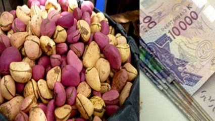 Vie de couple: Le prix de la dot désormais entre 200 et 250 mille à N’Dali et Pèrèrè 