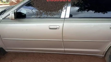 INSOLITE/PARTI PRENDRE SERVICE DANS UNE MAIRIE DU DÉPARTEMENT DU COUFFO,  La voiture d&rsquo;un cadre tiré au sort envahie par des abeilles