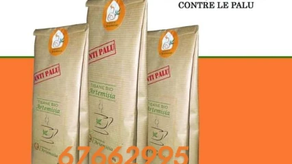 POUR UNE LUTTE EFFICACE CONTRE LE PALUDISME : Artemisia, l’ultime solution