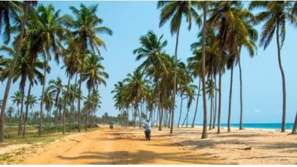 APRÈS TROIS ANS DE REFORMES SOUS TALON : Que retenir au plan environnemental dans le Borgou-Alibori ?