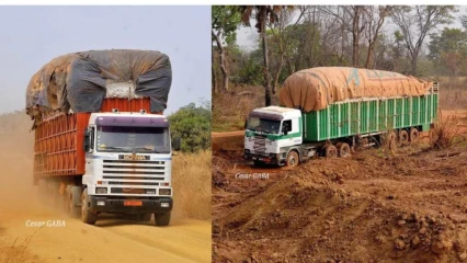 BÉNIN PREMIER PRODUCTEUR DE COTON EN AFRIQUE : Pourtant les zones productrices végètent dans l’enclavement, la misère et la précarité