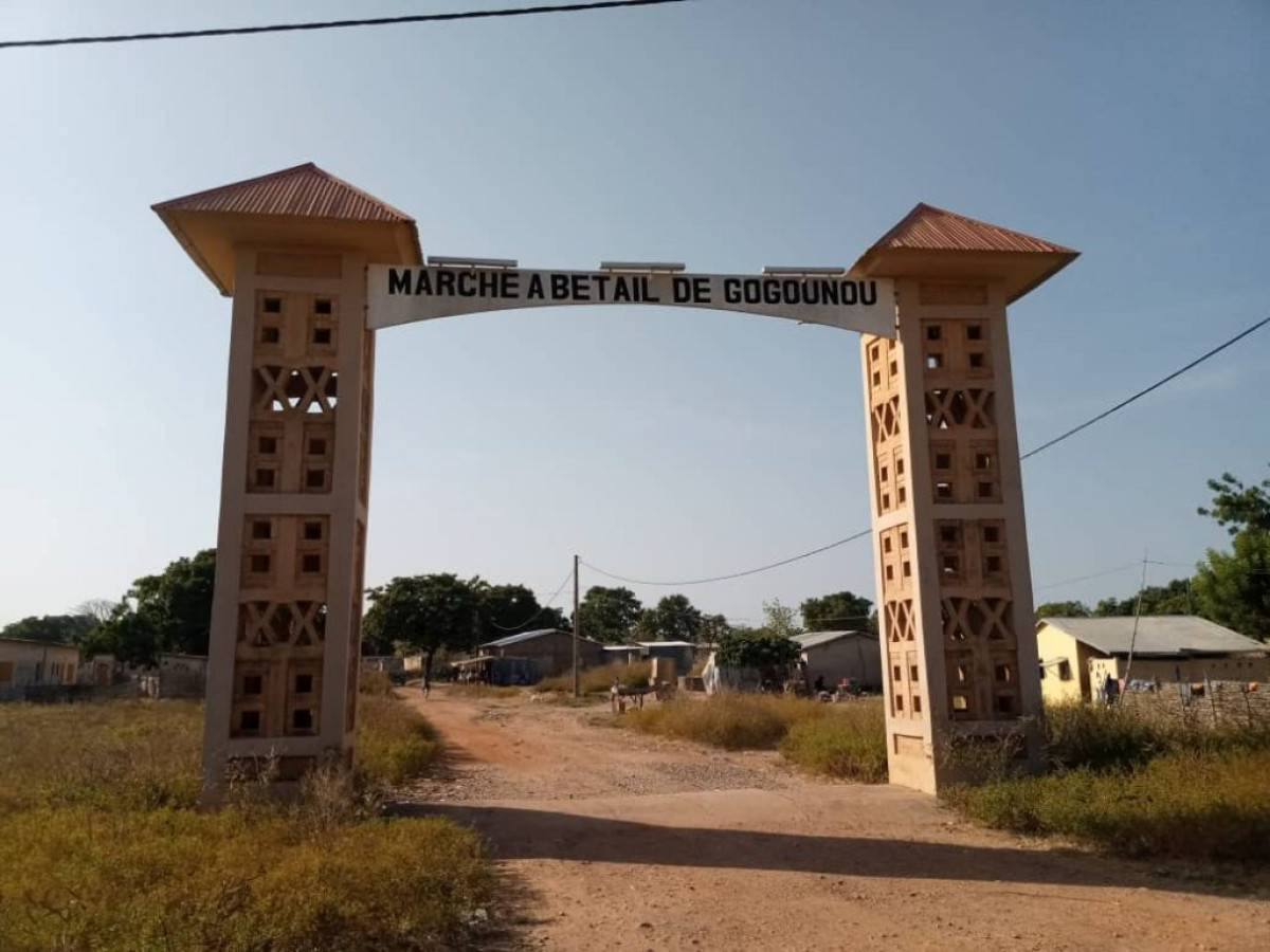 MAIRIE DE GOGOUNOU : Les recettes des marchés à bétail font polémique  . L’Algmbg déclare 11 599 150F Cfa