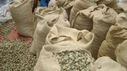 BÉNIN/EN VUE DE L&rsquo;ÉTABLISSEMENT D&rsquo;ACCORDS-CADRES AVEC L&rsquo;ÉTAT : Les interprofessions anacarde et soja bientôt réorganisées