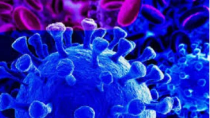 POUR MAUVAISE GESTION DE LA CRISE SANITAIRE LIÉE À LA COVID-19 : Une centaine de citoyens saisit l&rsquo;Assemblée nationale