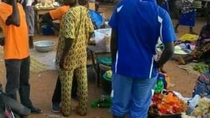 FAIT DIVERS À NIKKI : Des abeilles envahissent le marché de Sakabansi