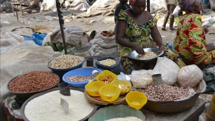 HAUSSE DU PRIX DES PRODUITS ALIMENTAIRES DE GRANDE CONSOMMATION : Le gouvernement évoque les raisons . Vers la régularisation des flux pour maintenir les grands équilibres