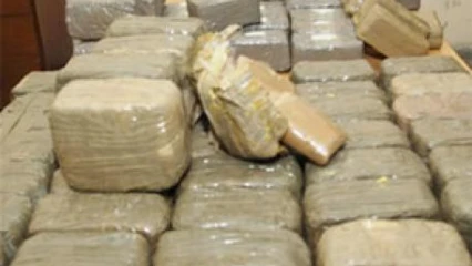 SÉCURITÉ : 1 972 kg de drogue saisis à la frontière Bénin-Togo