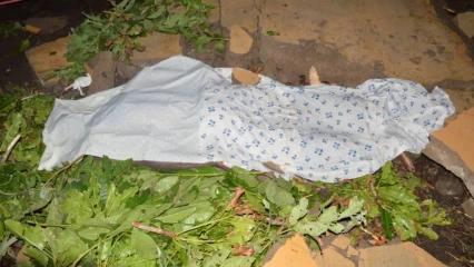 DRAME À GOGOUNOU : Un homme trouve la mort sous un mur