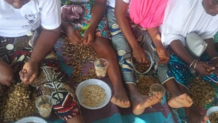 JIF/ CHAMPIONNAT DE DECORTICAGE DE SESAME : L’Ong Okouabo valorise la femme