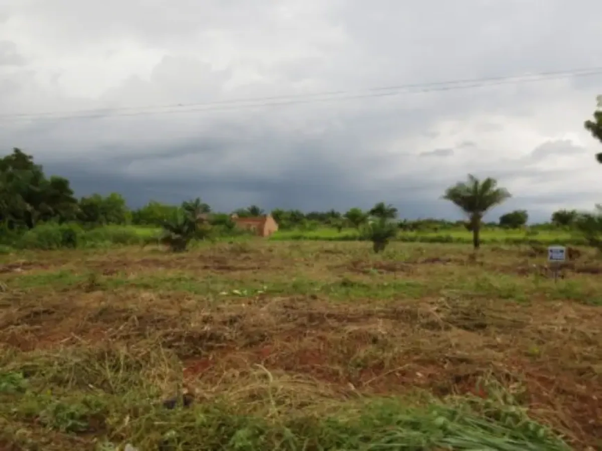 Bénin/acquisition de terre en milieu rural: il faut désormais justifier ses sources de revenus