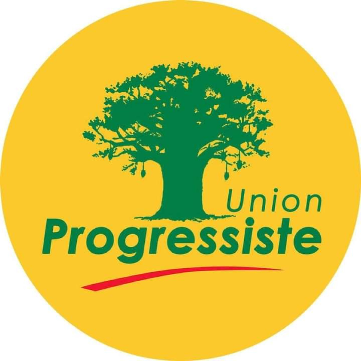 POLITIQUE A TCHAOUROU : Un vent violent arrache 3 branches du baobab . Voici leur probable destination