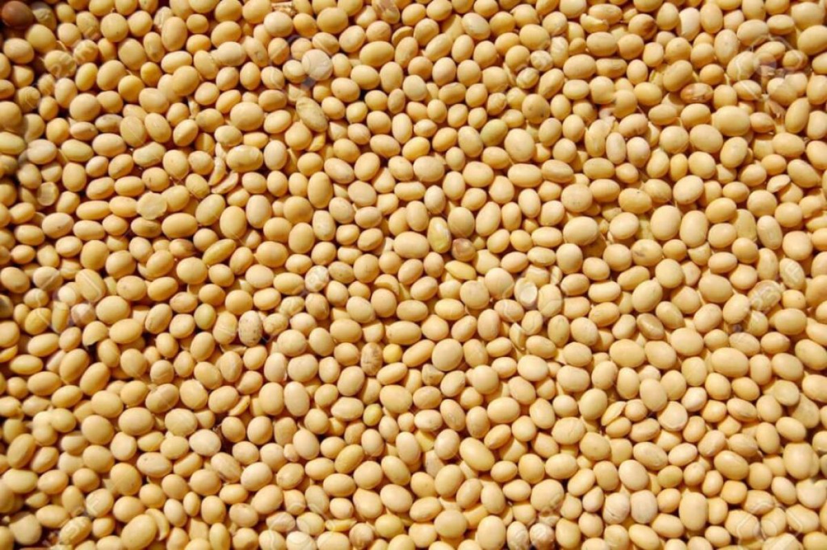 SOJA/RUMEUR SUR LA TAXE PERÇUE AU CORDON DOUANIER : Le gouvernement invite les producteurs à la vigilance