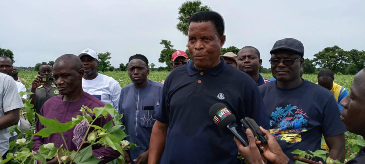 En tournée nationale de constatation, de sensibilisation et d'appui-conseil aux cotonculteurs: Tamou Gani Badou confiant de l'atteinte de l'objectif d'un million de tonnes