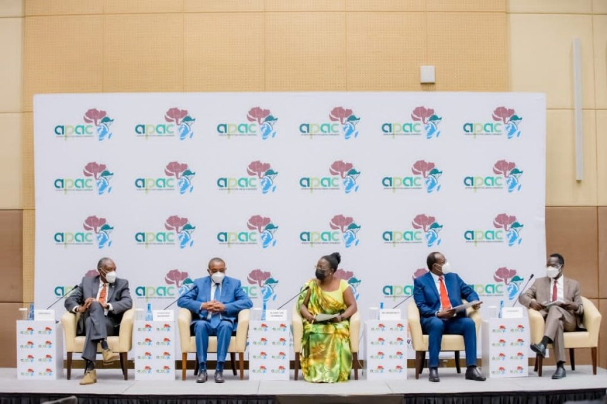 CONGRÈS DE L’UNION INTERNATIONALE POUR LA CONSERVATION DE LA NATURE : Les aires protégées en Afrique au cœur des échanges