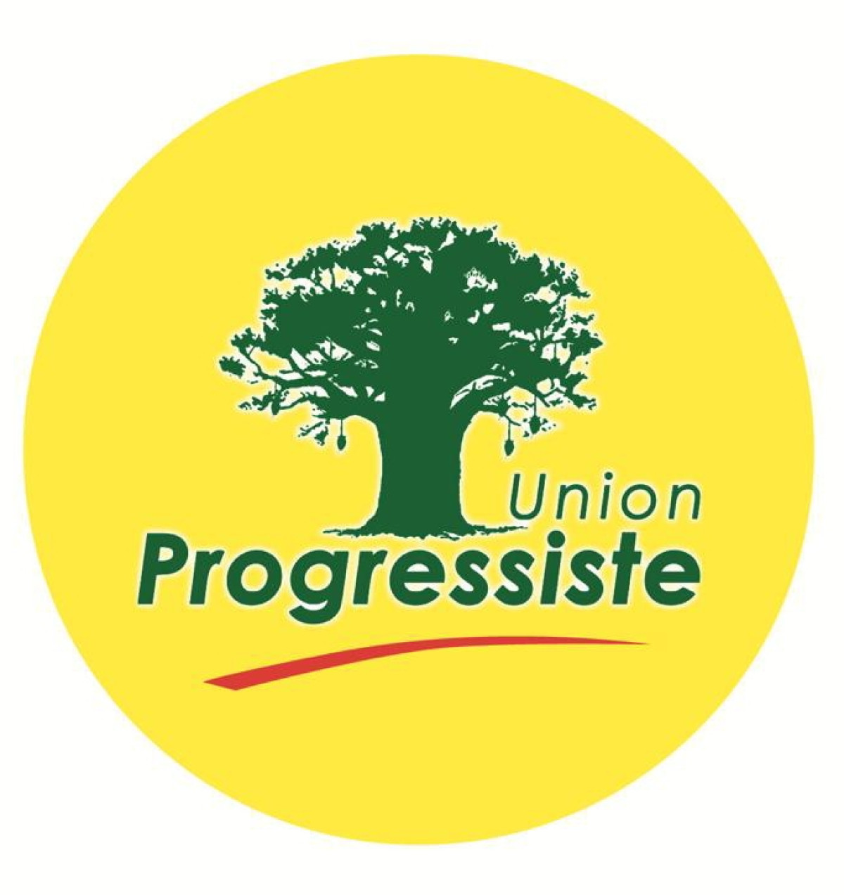 COMMUNALES 2020 : Les enseignants de Banikoara se regroupent sous le baobab illuminé