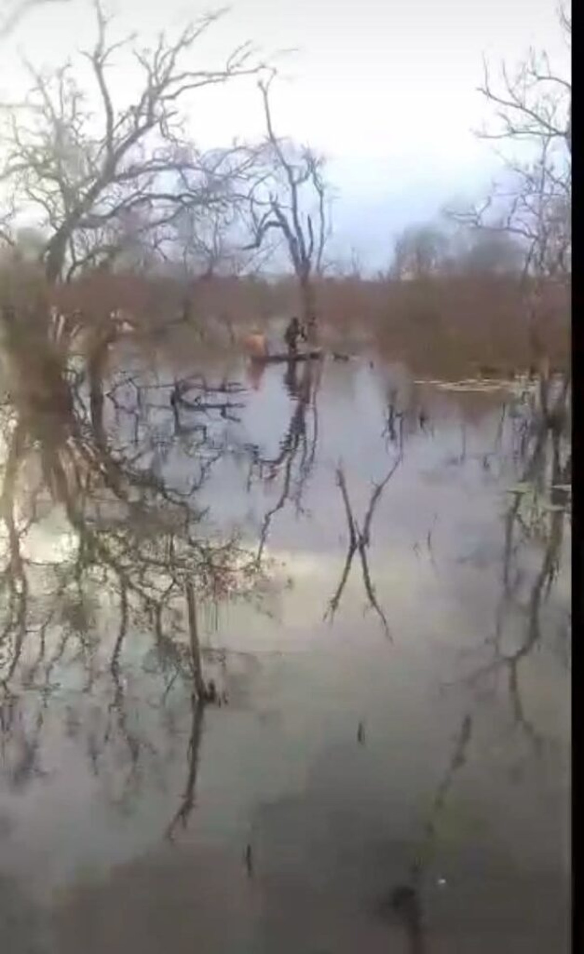 Drame à Nikki: deux frères meurent par noyade à Serékali