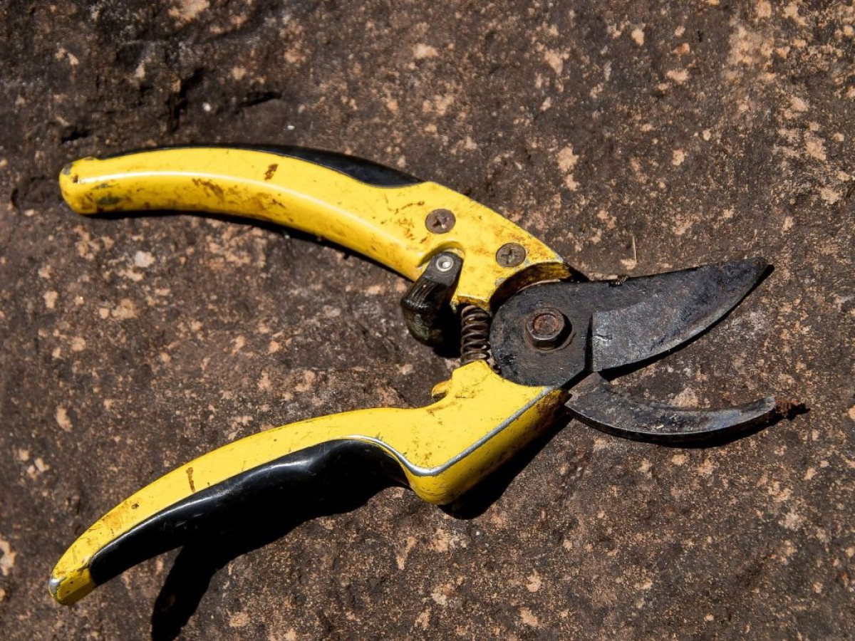 BENIN/FAITS DIVERS : Elle tente d’arracher le gland de son époux  . Voici la raison